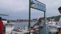 Cook Islands: Game Fishing and Sailing in Rarotonga