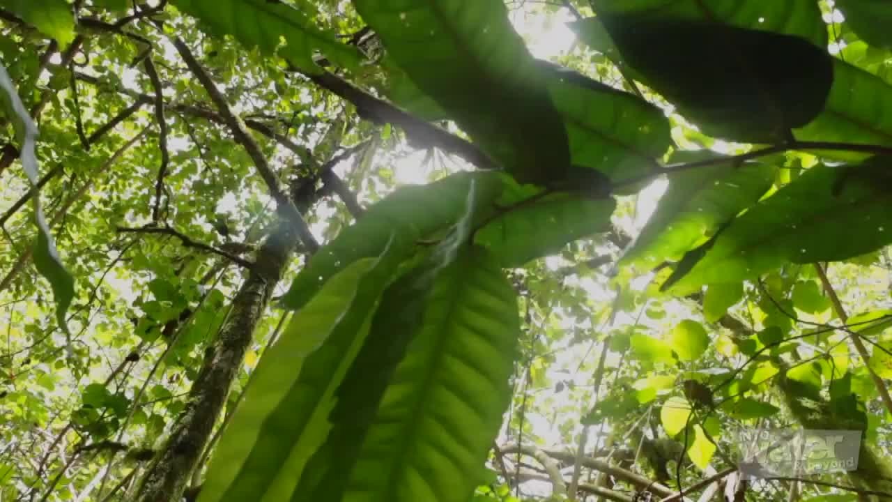 Cook Islands: Checking out Rarotonga's Natural Beauty