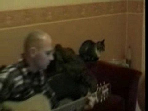 jah work a la guitare ben harper