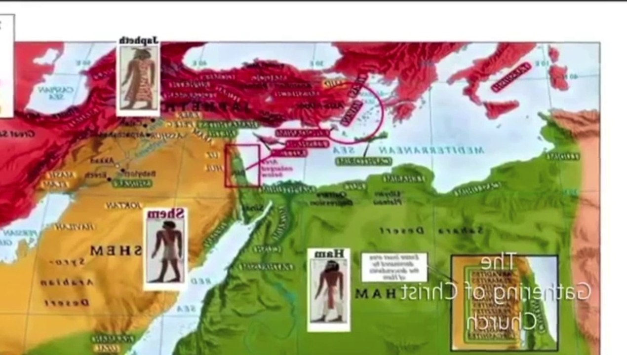 DBZ the han dynasty blood of the negro's amnesia in asean pacific pt one