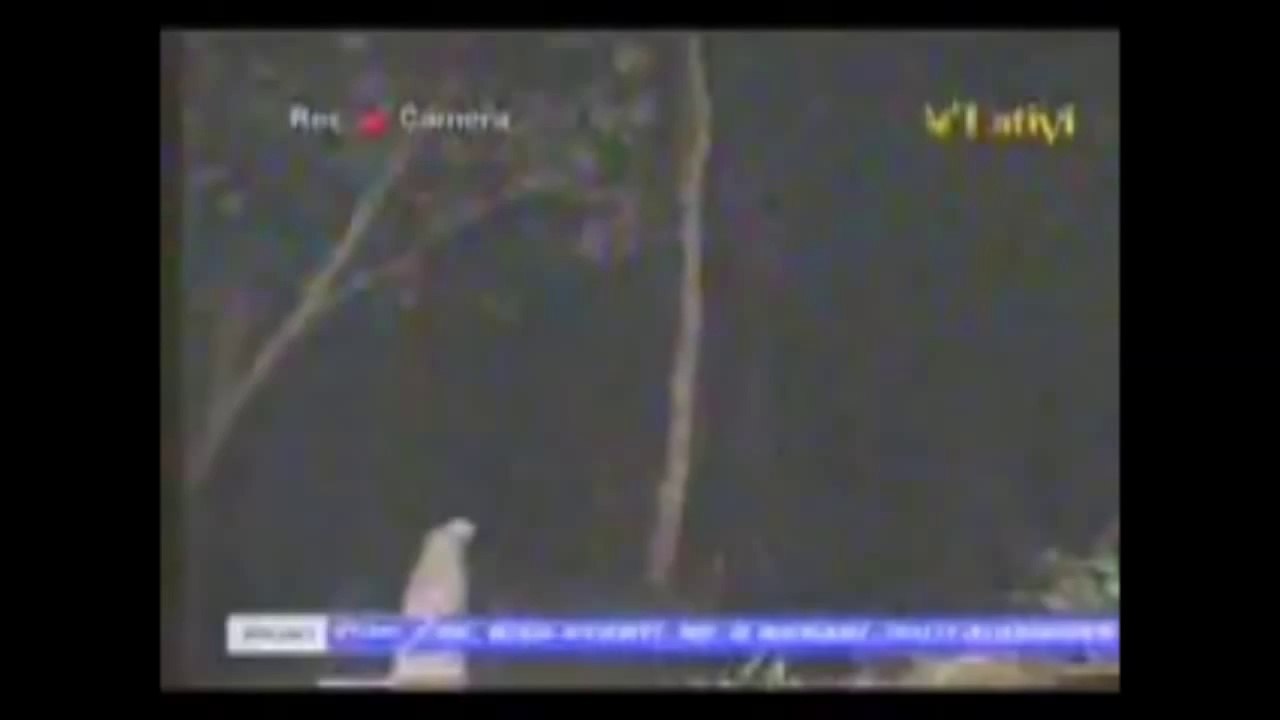 Paranormal & Djinns _The Most Scary Paranormal Activities caught on camera Explained by a muslim .