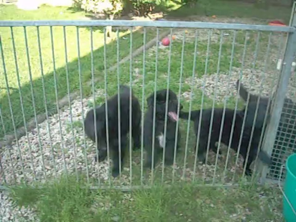 24 juillet 2014 (3) : 7 semaines