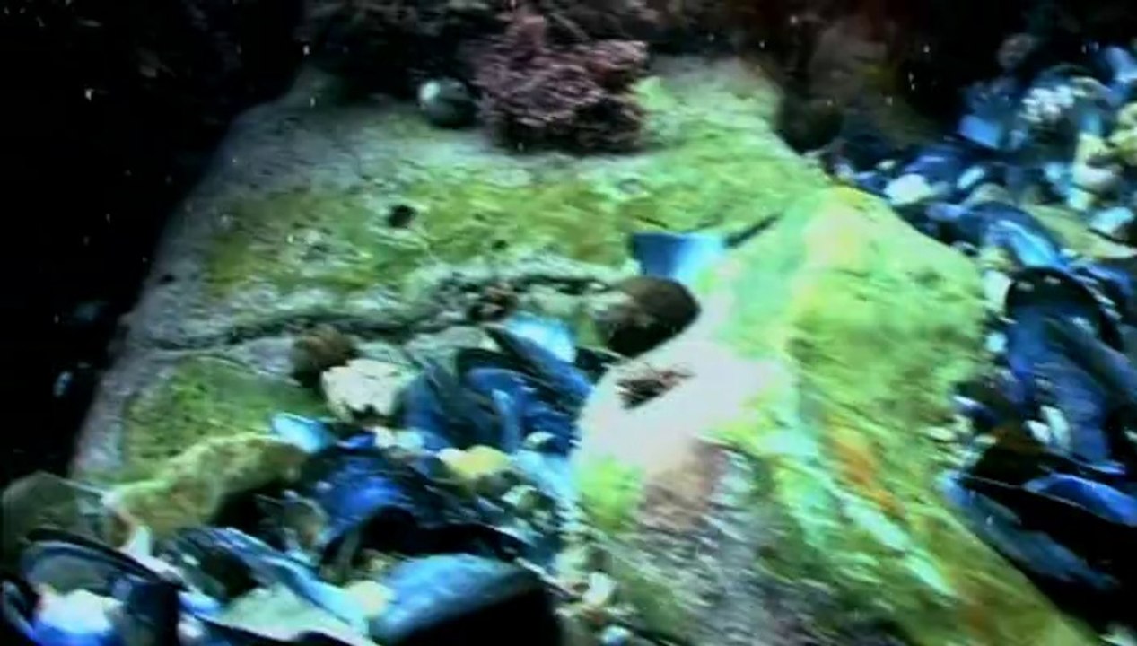 BBC Coast S01E03 - Bristol to Cardigan Bay