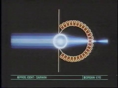 BBC - Horizon - 1987 - The Blind Watch Maker