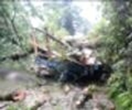 Traktörün üzerine ağaç devrildi: 6 ölü, 15 yaralı