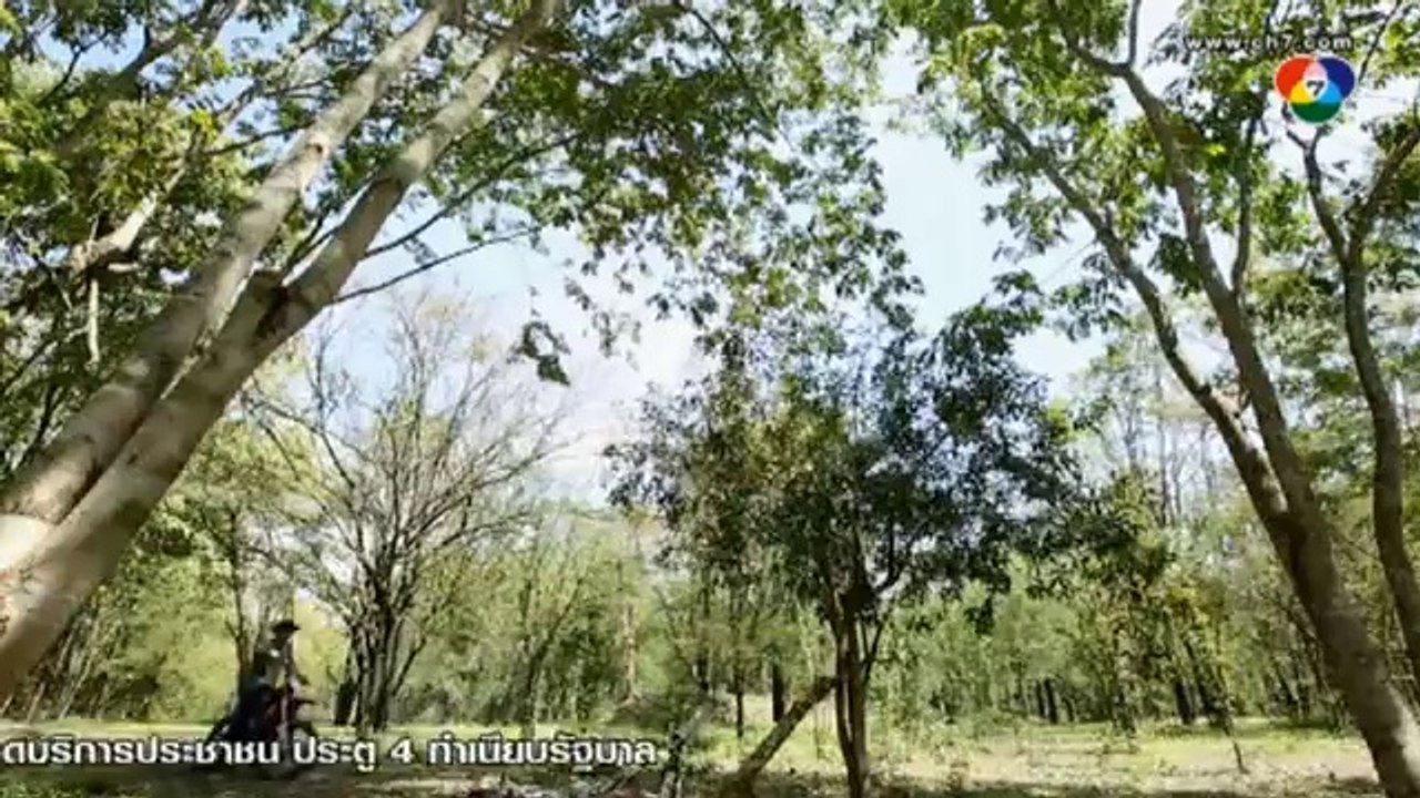 HJT 10 (MQ)(00h20m03s-00h34m23s)