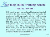 sap mdg online training remote server access