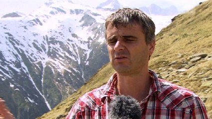 Pilot project: testing new ways of protecting mountain sheep.