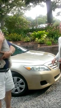 Cachorra Desmaia De Emoção Depois De Ver A Melhor Amiga Chegar Após Uns Anos