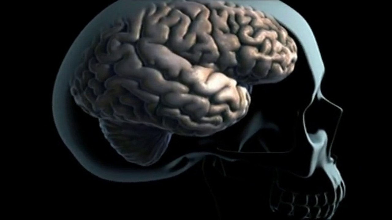 "Drogues et cerveau" extrait documentaire