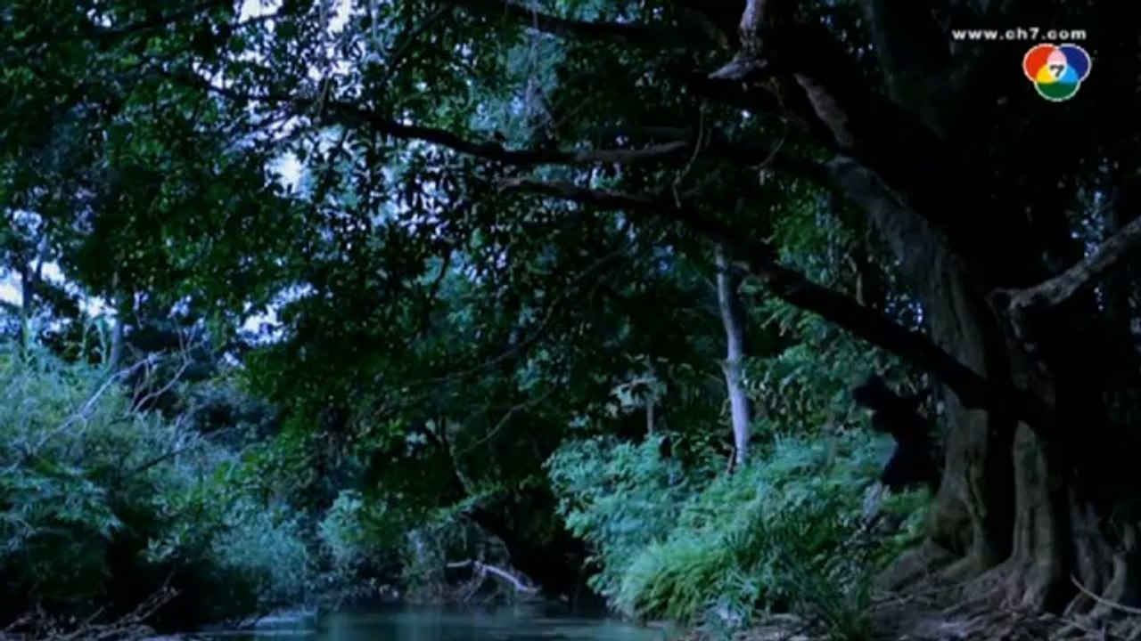 HJT 10 (MQ)(00h54m21s-01h11m36s)