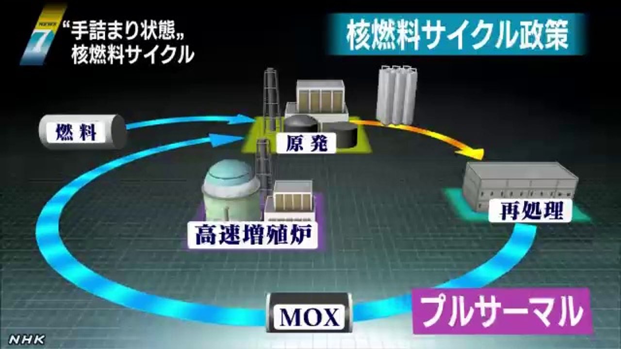 20140725使用済み核燃料  “ゴミとして処分可能”