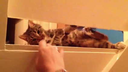 Iss Pyaar Ko kyaa naam Doon Ek Baar Phir 25 july 2014 part 2