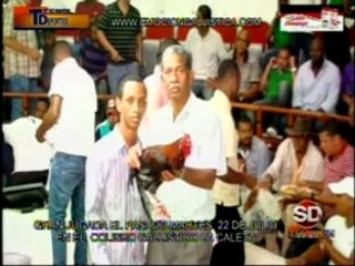 PROGRAMA-TECNODEPORTES-24-7-2014-COLISEO-CALETA