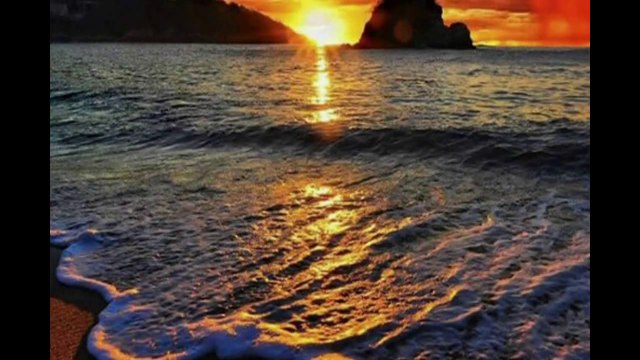 SÁNDOR ZSOLT SZABÓ - A TERMÉSZET SZERETETE - THE LOVE OF NATURE