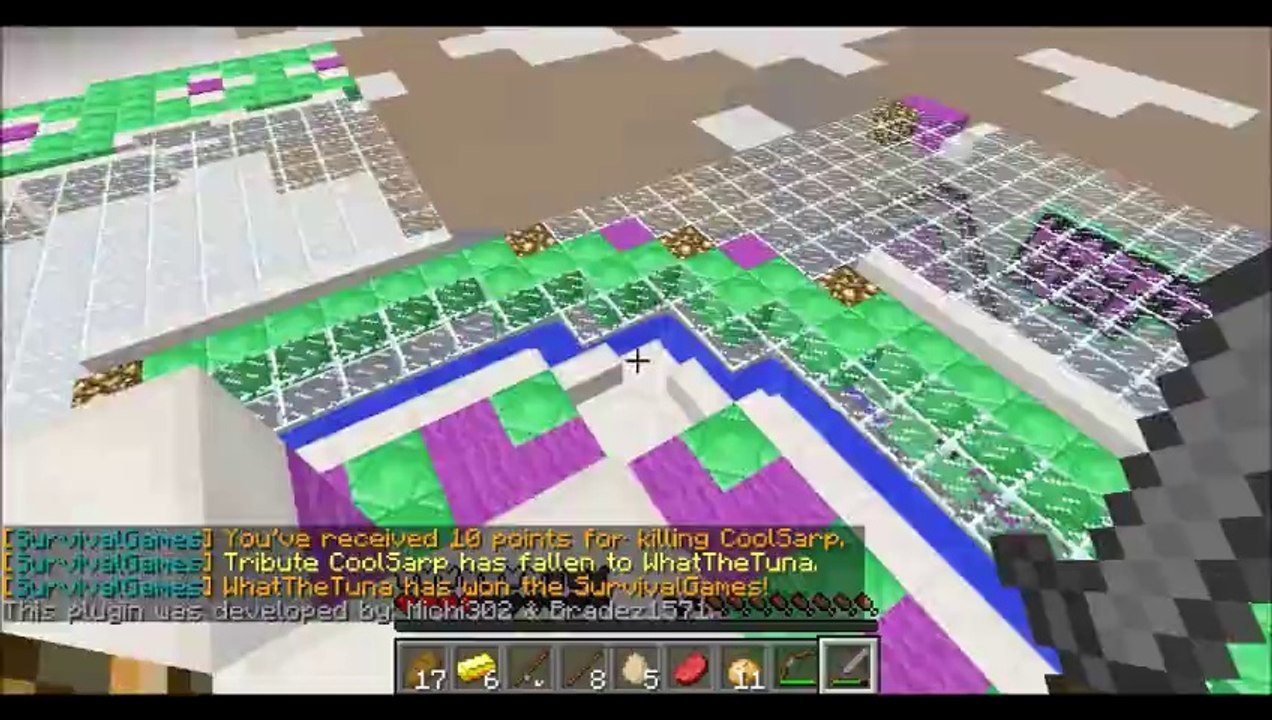 Minecraft-Hunger Games ep.1 :D