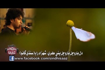 dil barochal paye karee shahzad rai sindhi saaz