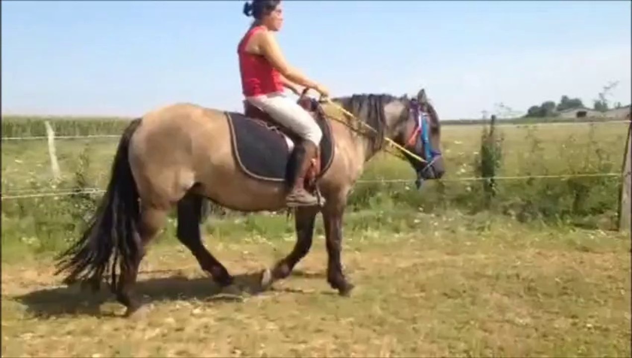 oura belle débourrage 1