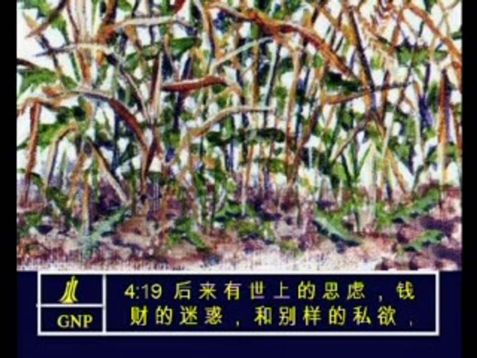 Mark 4 Chinese Picture Bible