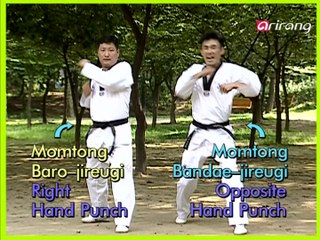 Taekwondo Techniques Episode 094: Mastering Momtong Bandae-jireugi & Baro-jireugi 🥋