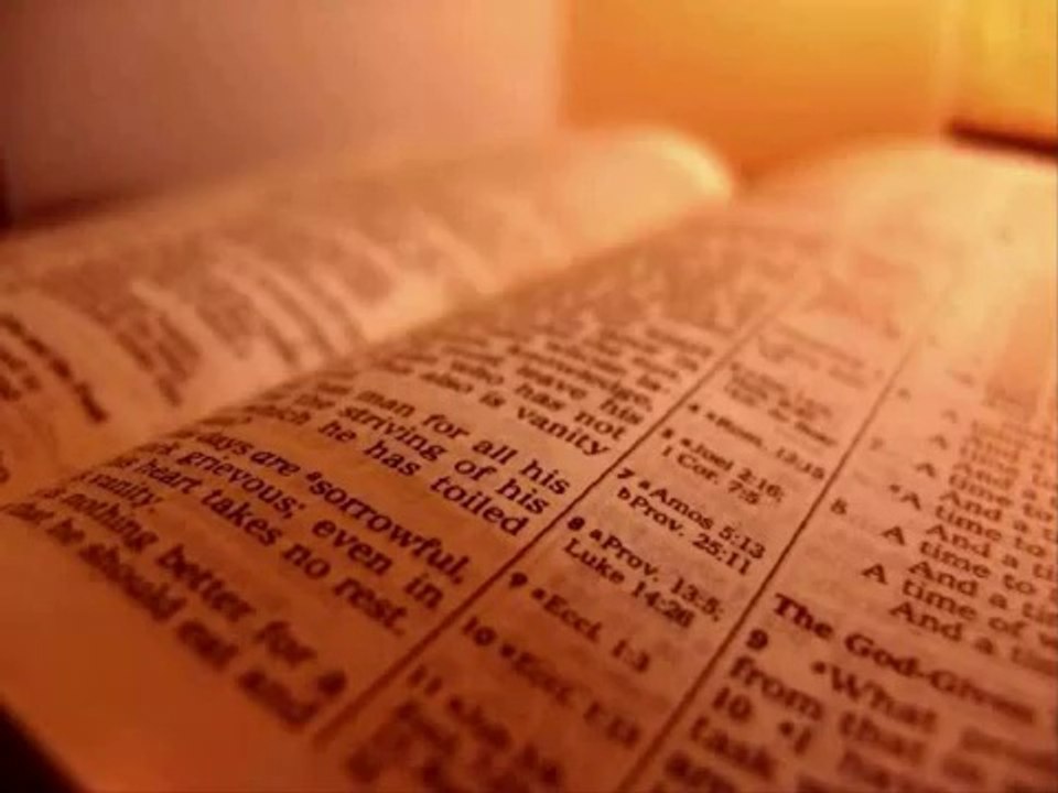 The Holy Bible - Psalm Chapter 25 (King James Version)