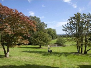 www.BritainsBestHome.com and Our other websites around the world