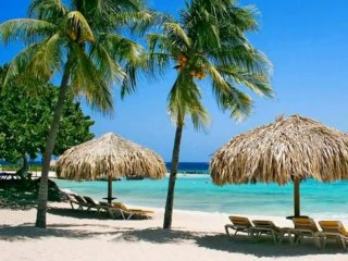 TUBE◆Photo&Movie　「泣き濡れてカニと戯るバトルロイヤル・ビーチ」