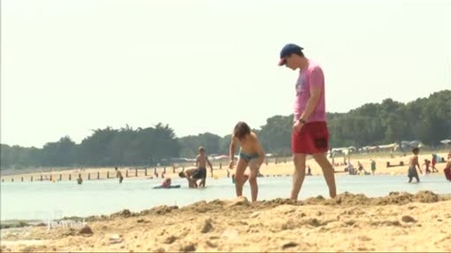 Algues vertes : Noirmoutier plutôt épargné