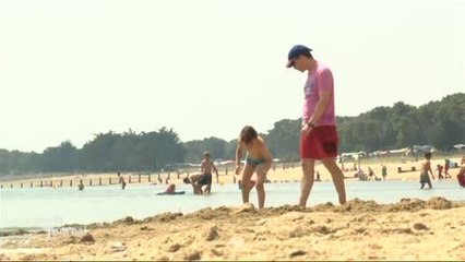 Algues vertes : Noirmoutier plutôt épargné