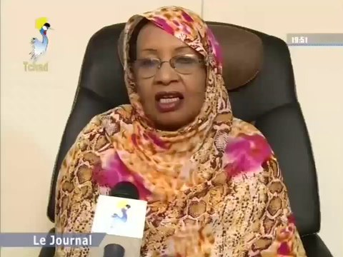 GRAND JTV TCHAD FRANÇAIS DU VENDREDI 25 JUILLET 2014 SUR TOL