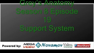 Grey’s Anatomy Season 8 Episode 19 – Support System