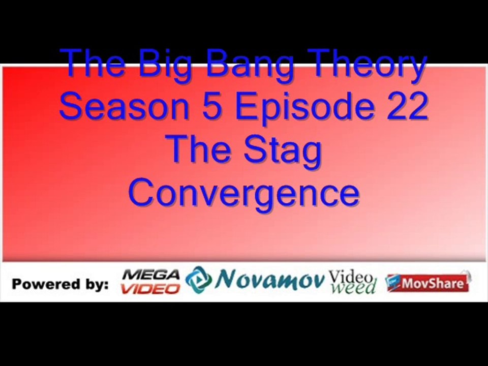 The Big Bang Theory Season 5 Episode 22 – The Stag Convergence