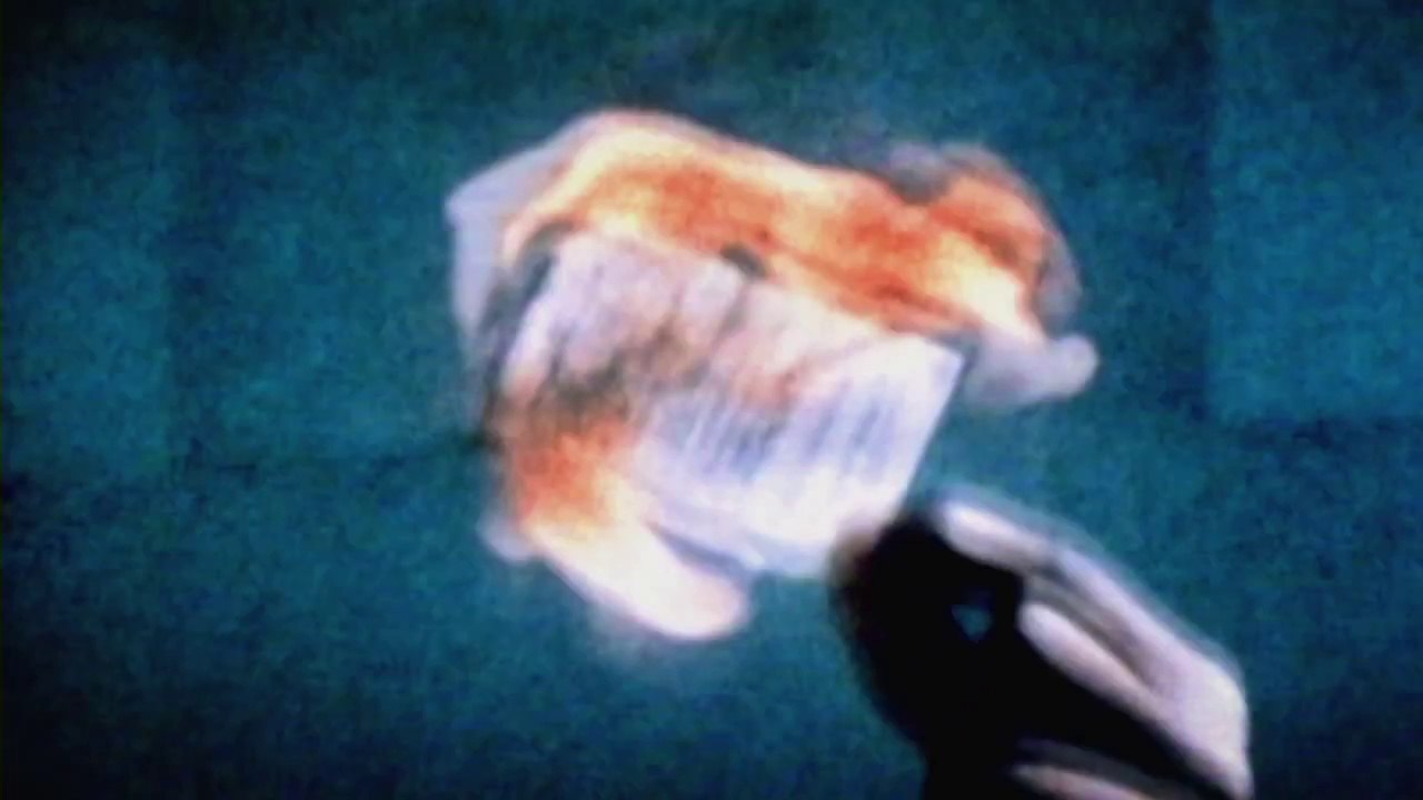 The Chicago 8 Trailer