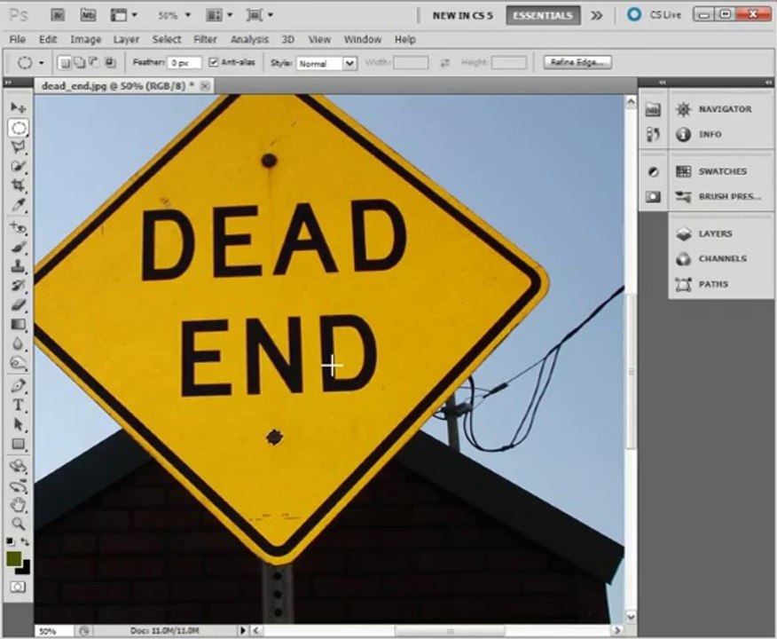 Making Selections Adobe Photoshop CS5