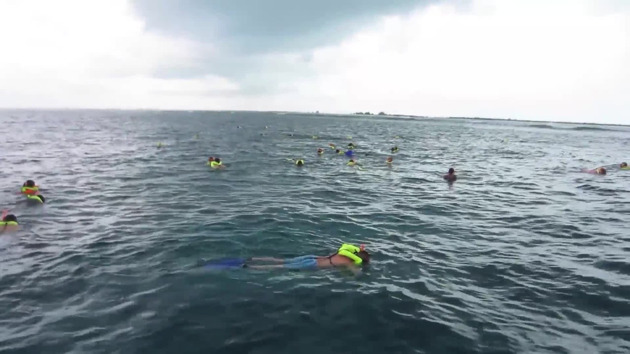 Beaches Turks & Caicos Catamaran Tour