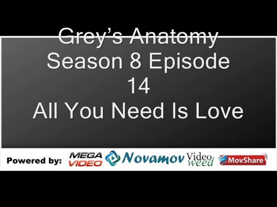 Grey’s Anatomy Season 8 Episode 14 – All You Need Is Love