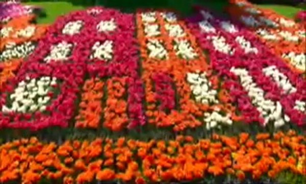 TV Globo 2014-07-25 globo reporter Holanda tulipas