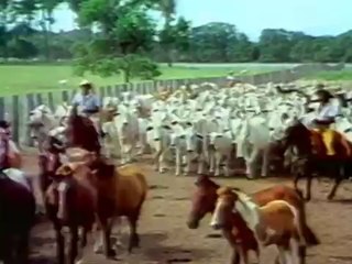 Comitiva Esperança - O Filme (1985)