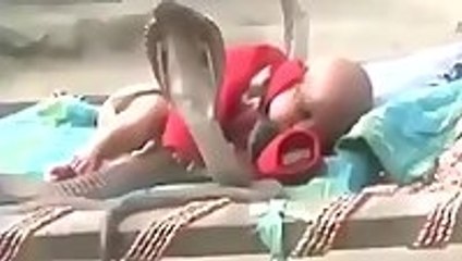 In India cobras protect sleeping baby