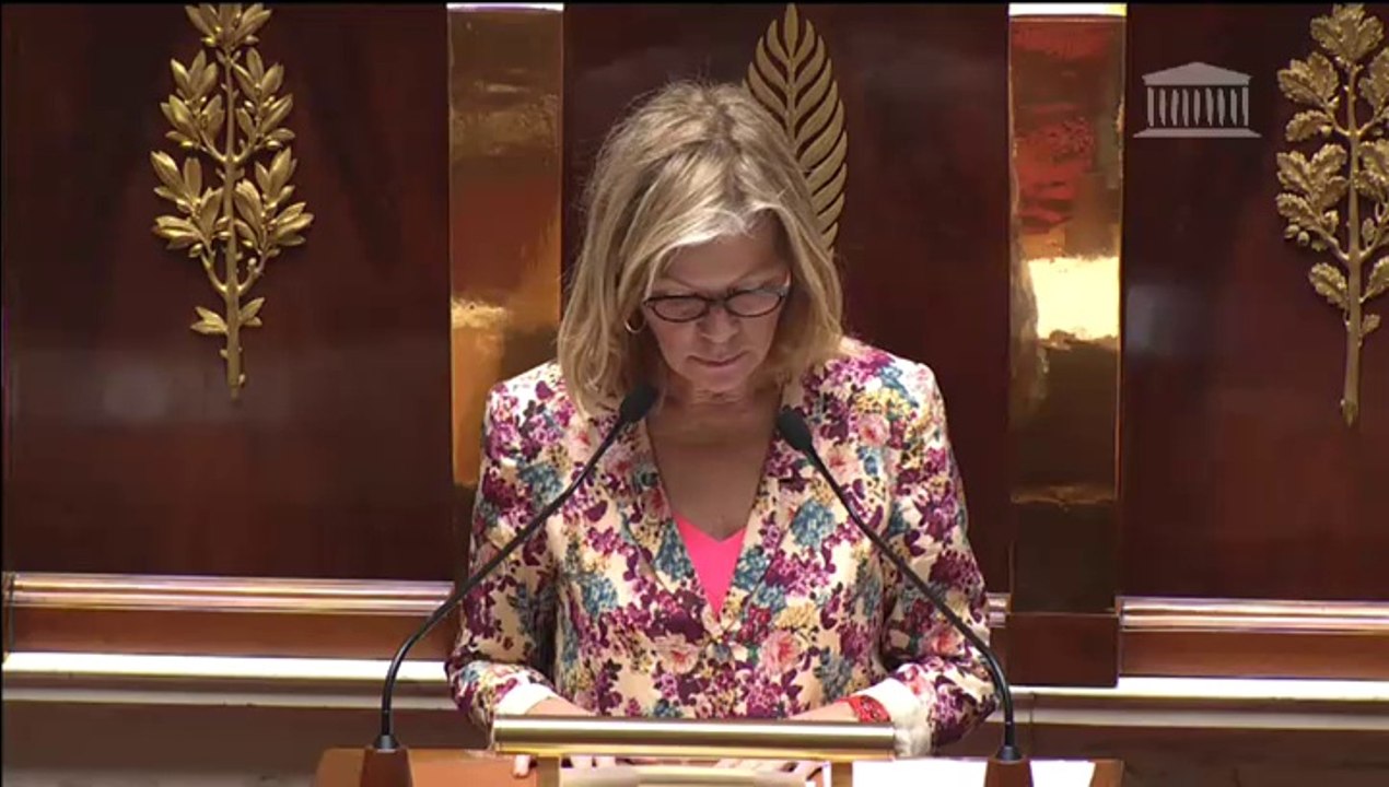 ÉGALITÉ RÉELLE ENTRE LES FEMMES ET LES HOMMES (C.M.P.) - Mercredi 23 Juillet 2014