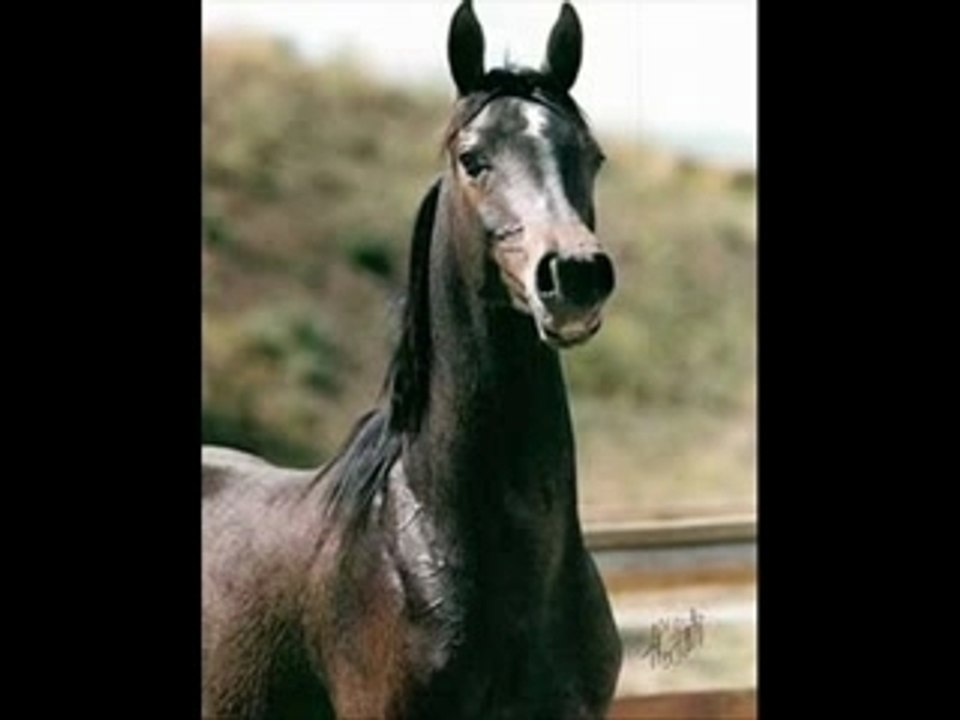 Emanor et quelques uns de ses produits!