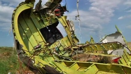OSCE monitors visit MH17 site