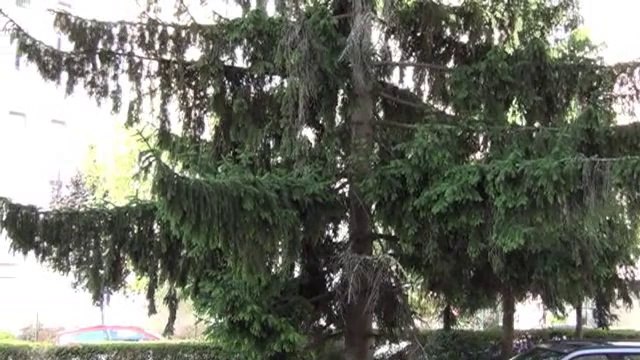 Dijon proche Junot/Toison très beau T3 - Agence CARREZ immobilier