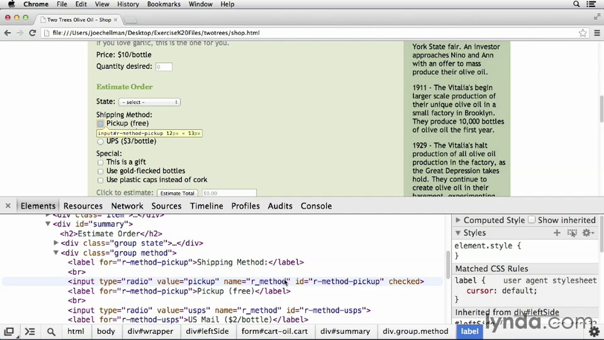 17 JavaScript for Web Designers 144203_03_04_XR15_radio