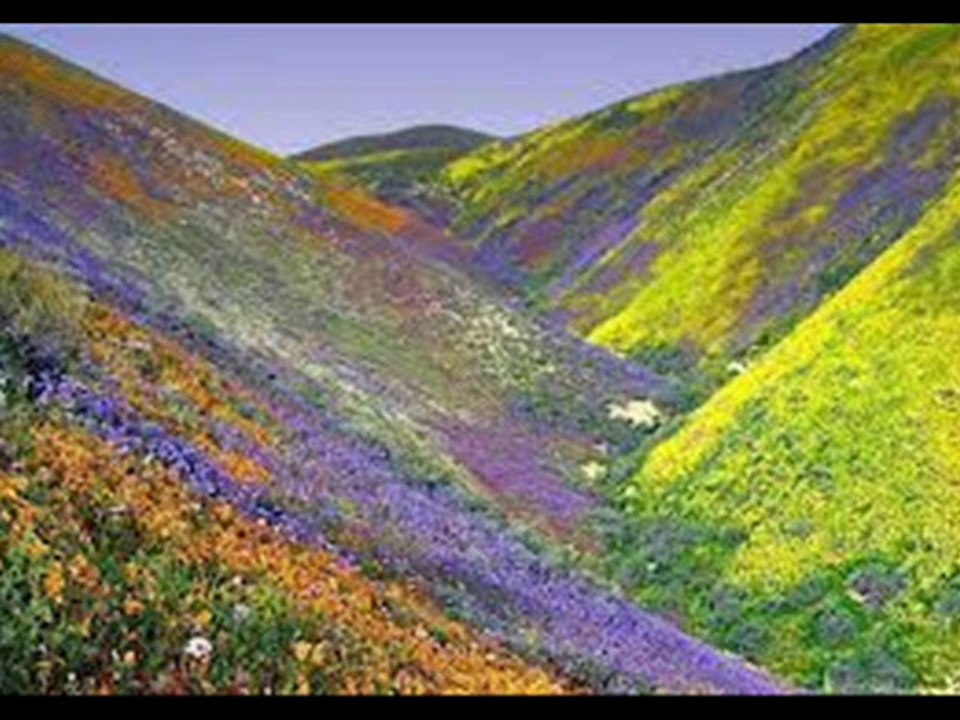 YILDIZ DEMİRKOL SAVAŞ-yıldızlıtürküler-ŞU KARŞI YAYLADA GÖÇ KATER KATER