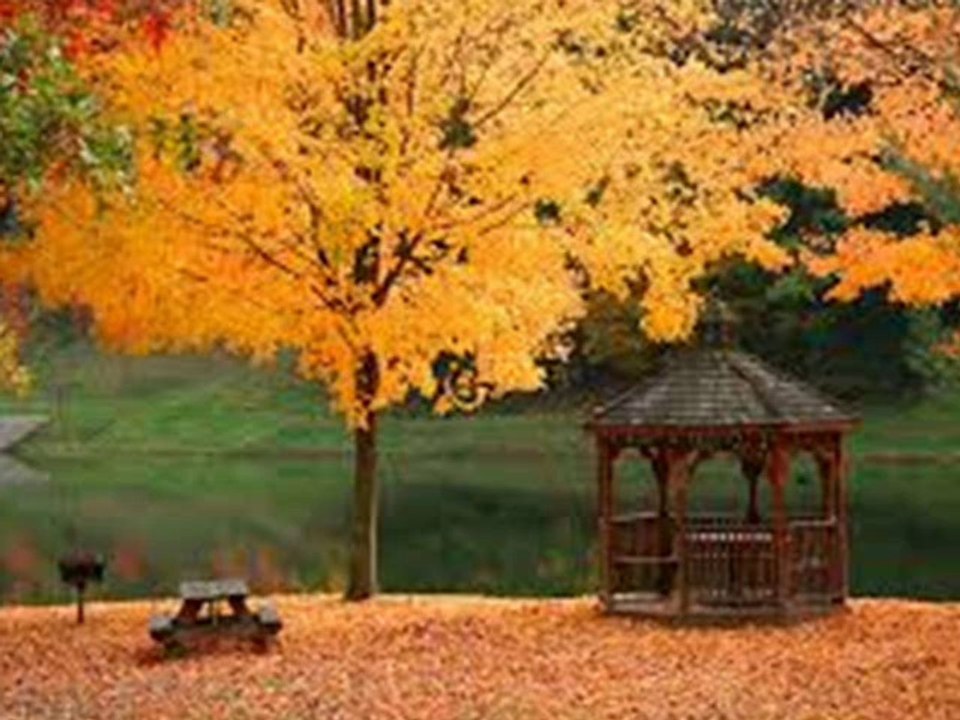 YILDIZ DEMİRKOL SAVAŞ-yıldızlıtürküler-YENİCE YOLLARI