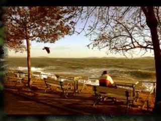 YILDIZ DEMİRKOL SAVAŞ-yıldızlıtürküler-YERİ YERİ TURNAM KAR GELDİ