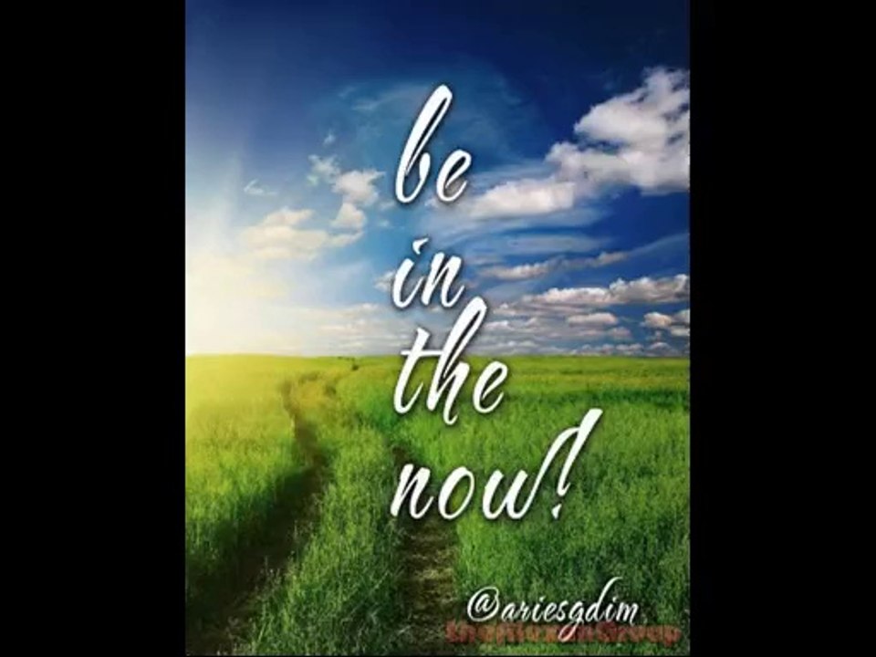 how much does traffic geyser cost  traffic geyser 20 review free video ebook