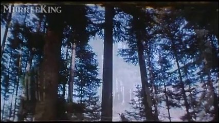 Aap Ke Karieb (Sad) - Kumar Sanu - SKBM (1995)