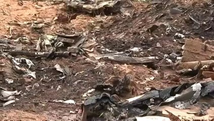 Crash du vol d&#039;Air Algérie : &quot;Il n&#039;y a plus rien&quot;, se désole un témoin ému aux larmes